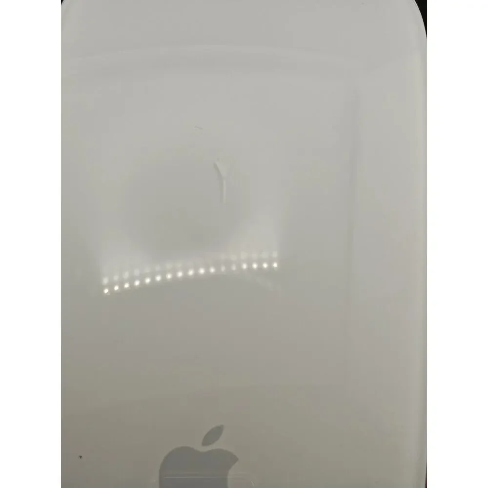 Apple magic mouse